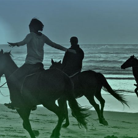 Caballo_destacada